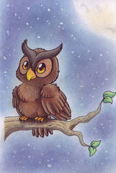 .:Little Owl:.