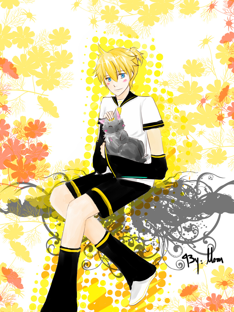 grown up Len X cat