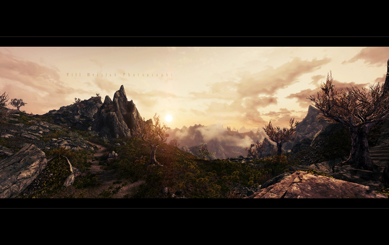 The ReacH panoramic