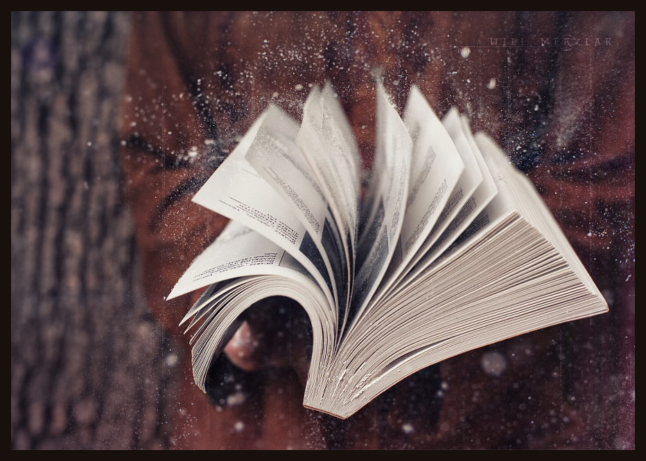 PageS by MRBee30