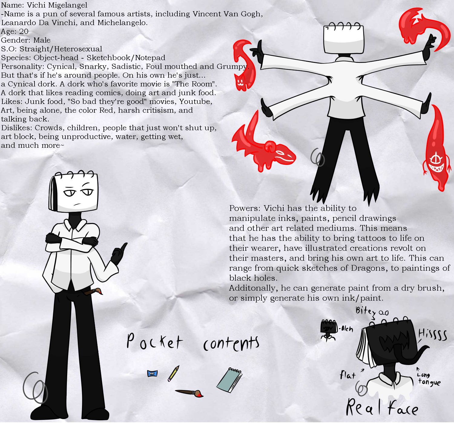 Vichi Reference Sheet (Persona OC)