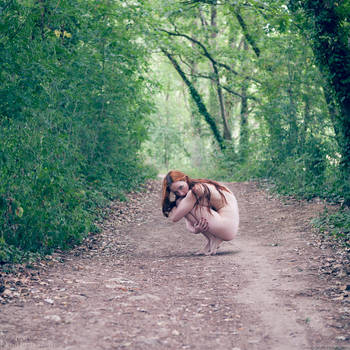 The Path in the Woods