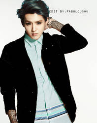 Exo kris