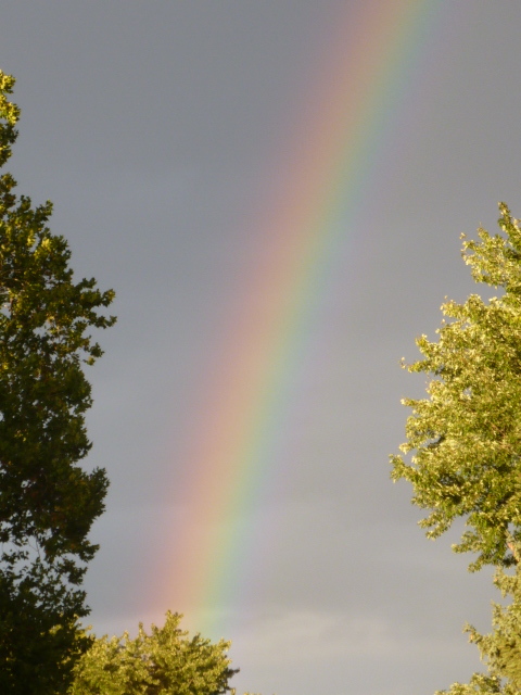 double RAINBOW ALL THE WAY