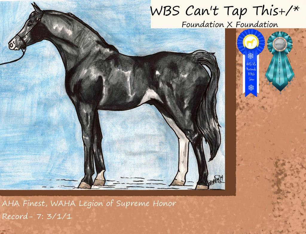 WBS Can't Tap This +/*