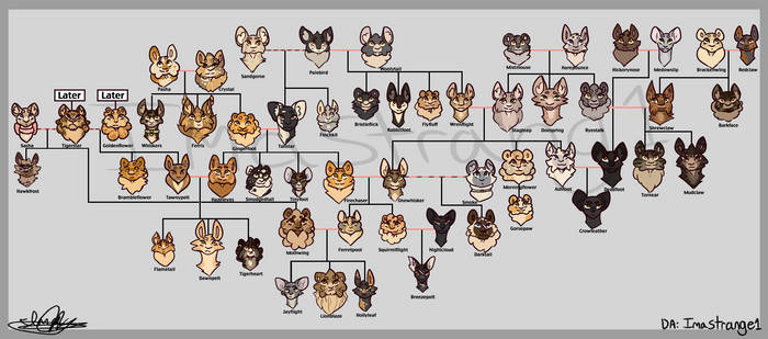More or less accurate Warriors Cats Family Tree by mathes0n on DeviantArt