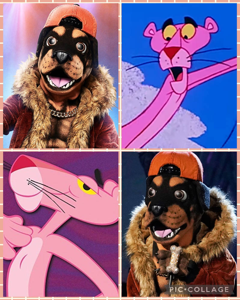 Pink Rottweiler Cartoon (CG) Rottweiler and Pink Panther by JaclynThePorcupine on DeviantArt