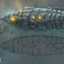 Nautilus