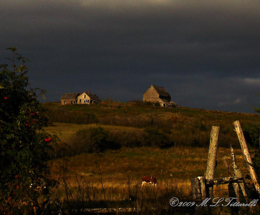 decayed farm