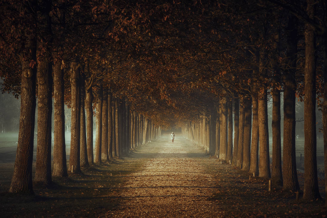 A stroll down memory lane by Northstar76 A stroll down memory lane by Northstar76