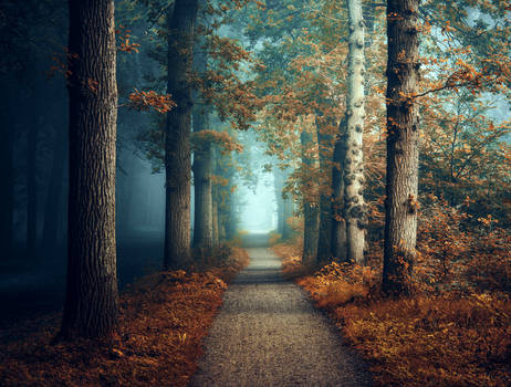 Somewhere Down The Road by Northstar76