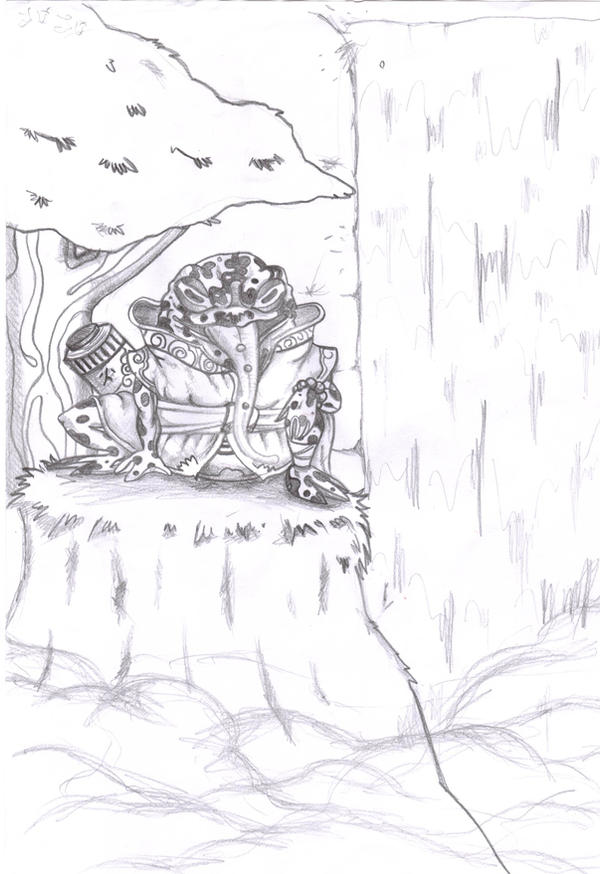 Waterfall Toad Waterfall Toad Drawing by Jano88 on DeviantArt