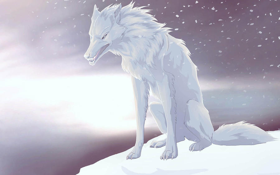 White wolf by UniQuest on DeviantArt