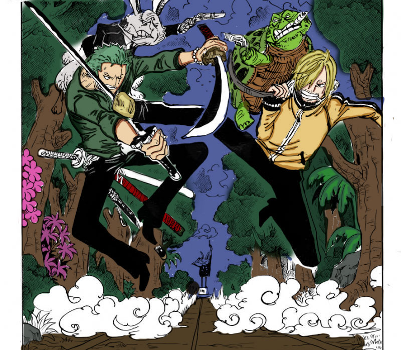 Sanji vs Zoro