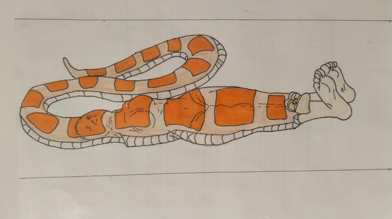 Python Vores Human Snake vore girl by andresplato on DeviantArt