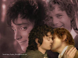 Frodo and Sam kiss