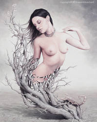 Between the skin and the soul by YannickBouchard