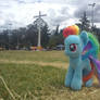 Rainbow Dash in Carolina Park Quito - Ecuador