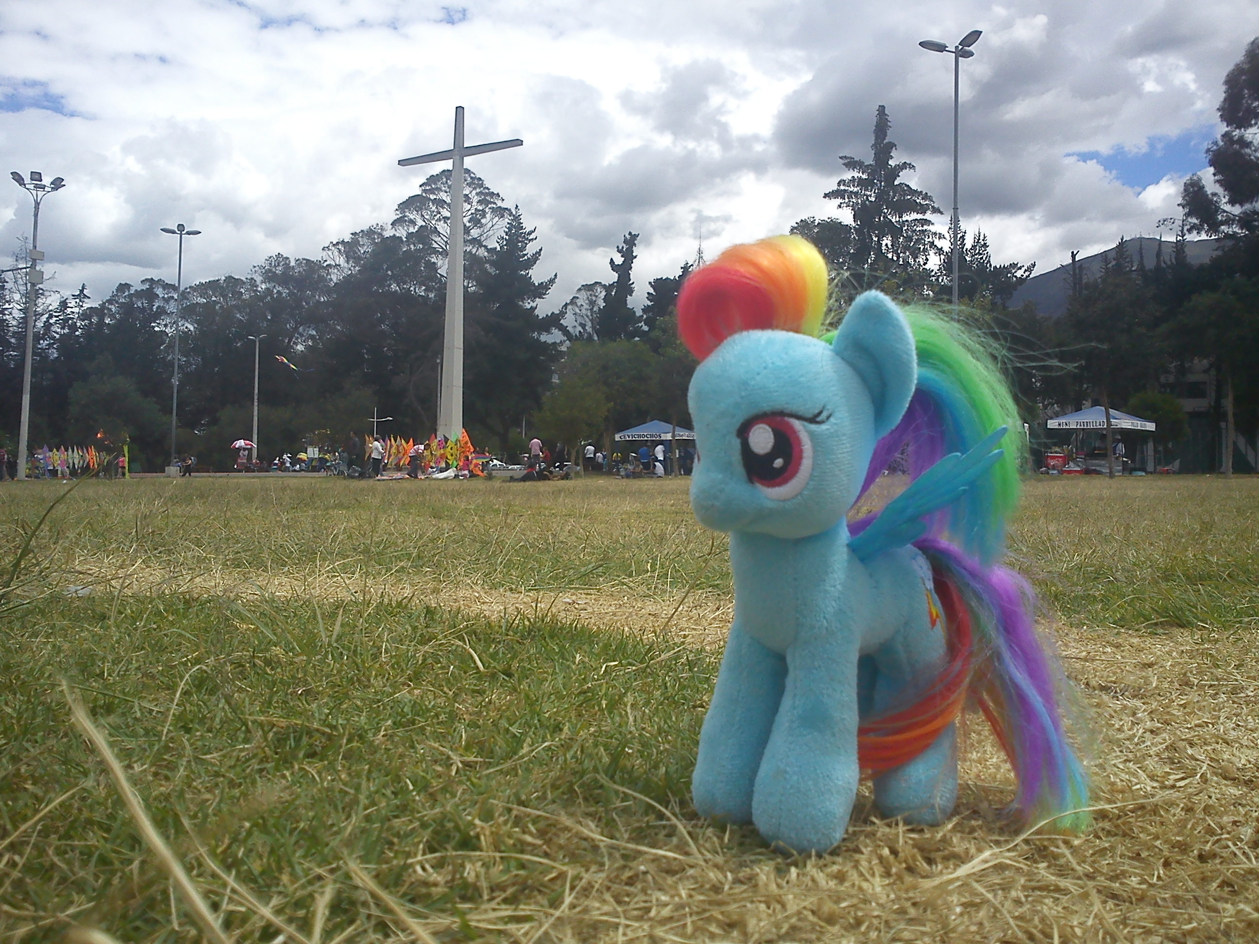 Rainbow Dash in Carolina Park Quito - Ecuador