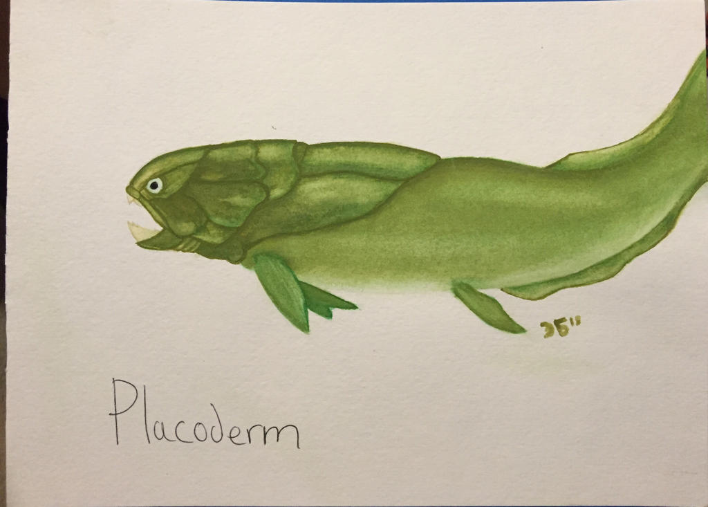 Placoderm by tanasinnss on DeviantArt