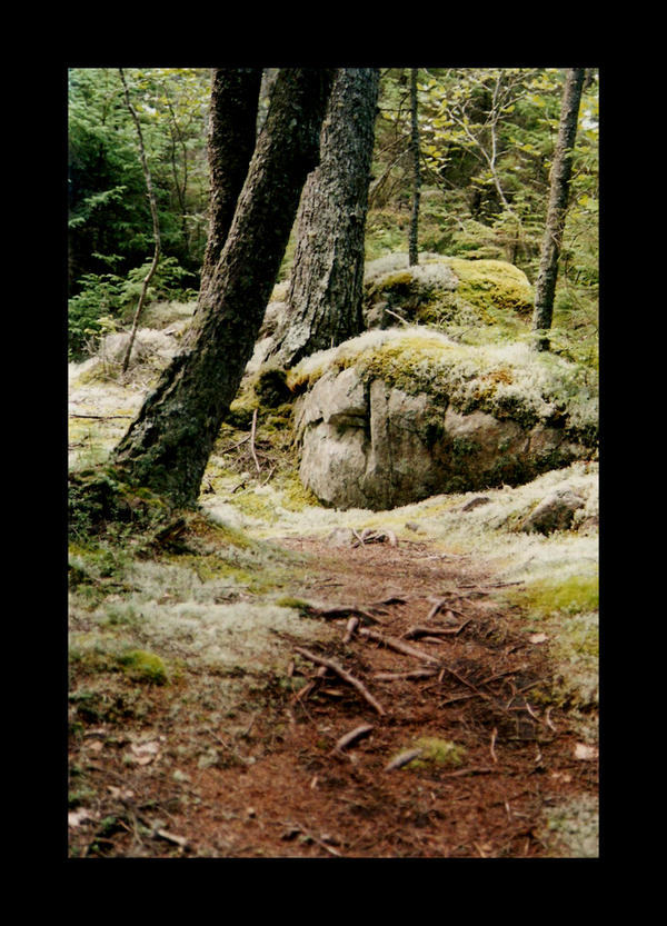 Native Red Path Red Path by sarallyn on DeviantArt
