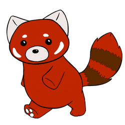 Red Panda