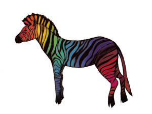 Psychedelic Zebra