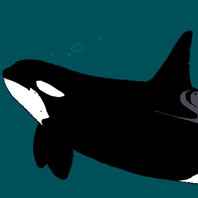 Really lazy orca