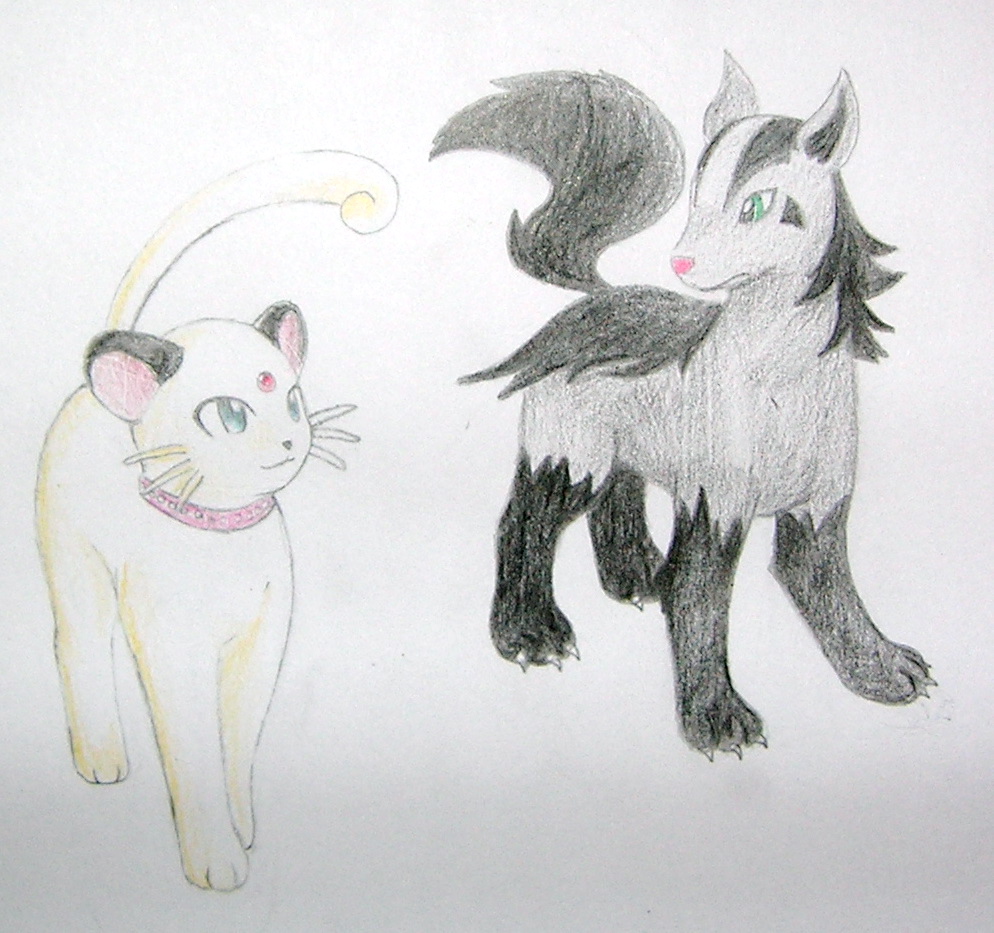 Mightyena and Persian