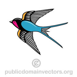 Image of a swallow in public domain
