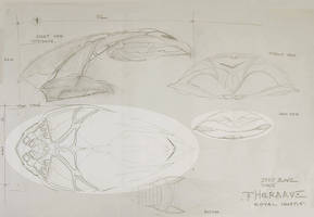 TheeRAAVE royal shuttle