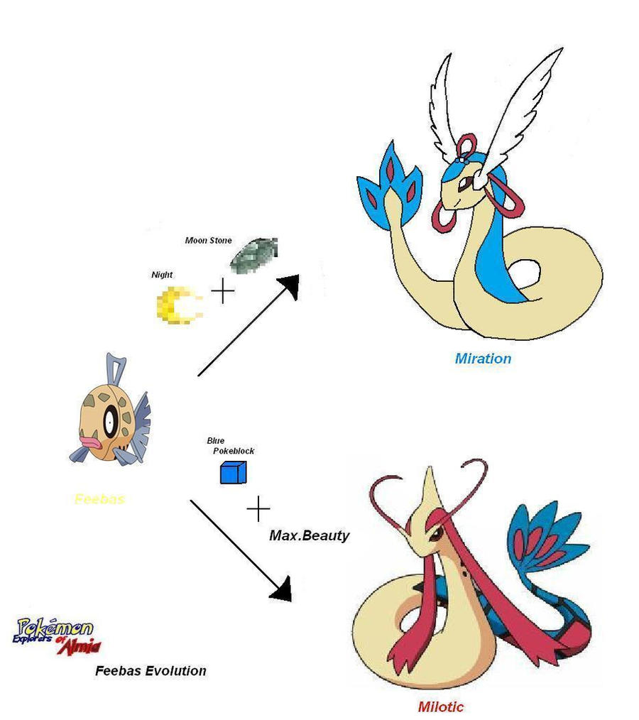 Feebas Patterns Feebas Evolution by Beautifltart on DeviantArt
