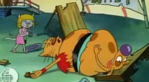 CatDog Weight Gain