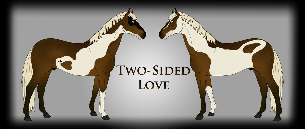 Two Sided Love