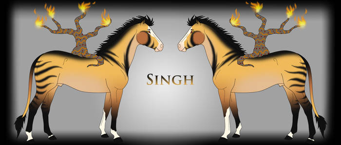 Singh Ref