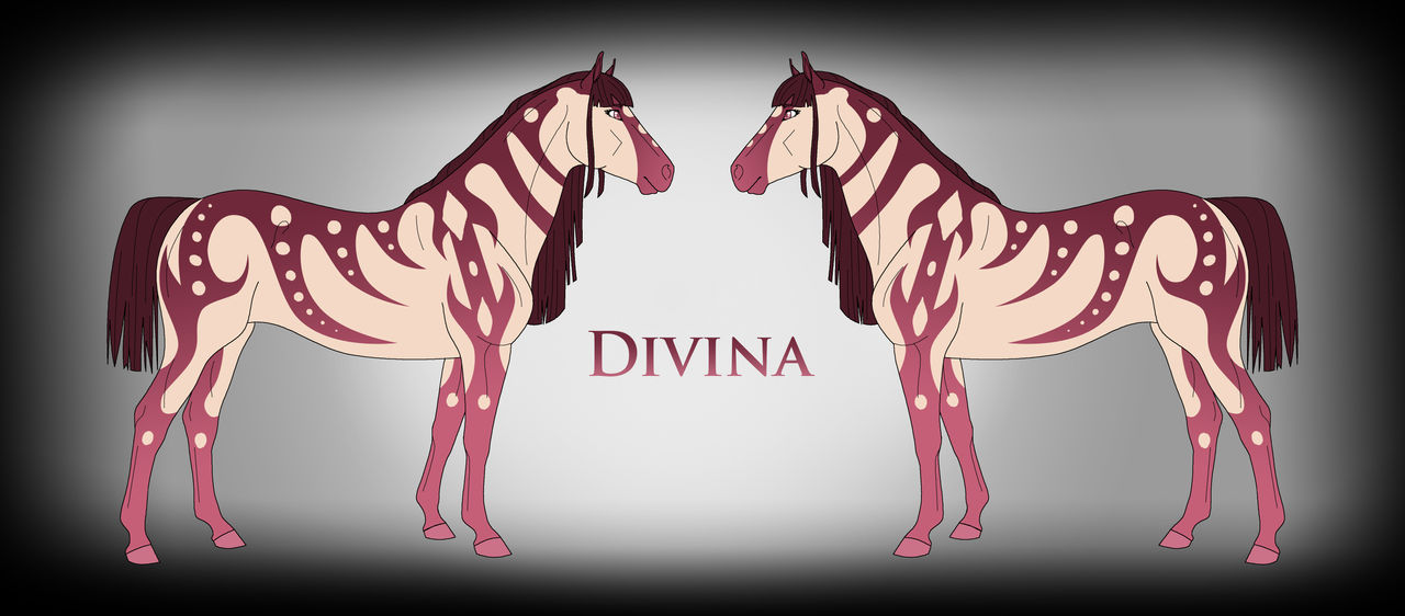 Divina Ref by Drasayer on DeviantArt