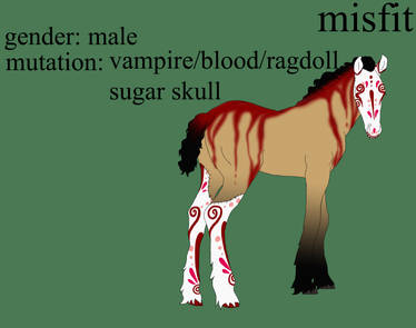 Misfit Foal for sandym918