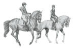 Public Access Sketch by Drasayer