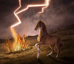 A Shared Taste by Drasayer