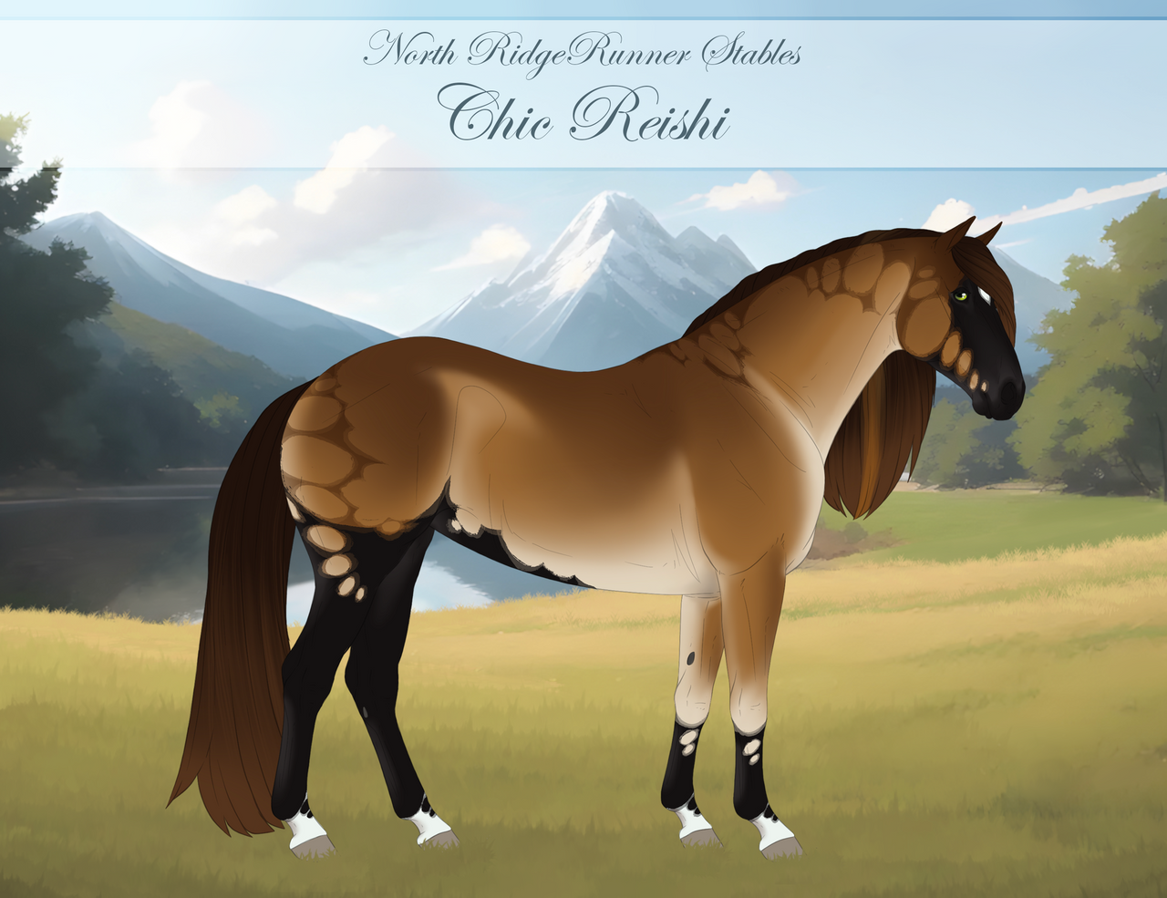 1680 NRR Chic Reishi