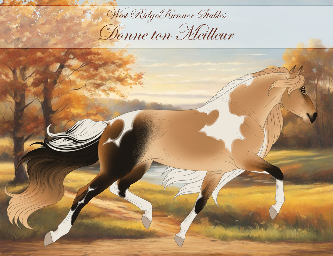 WRR Donne ton Meilleur