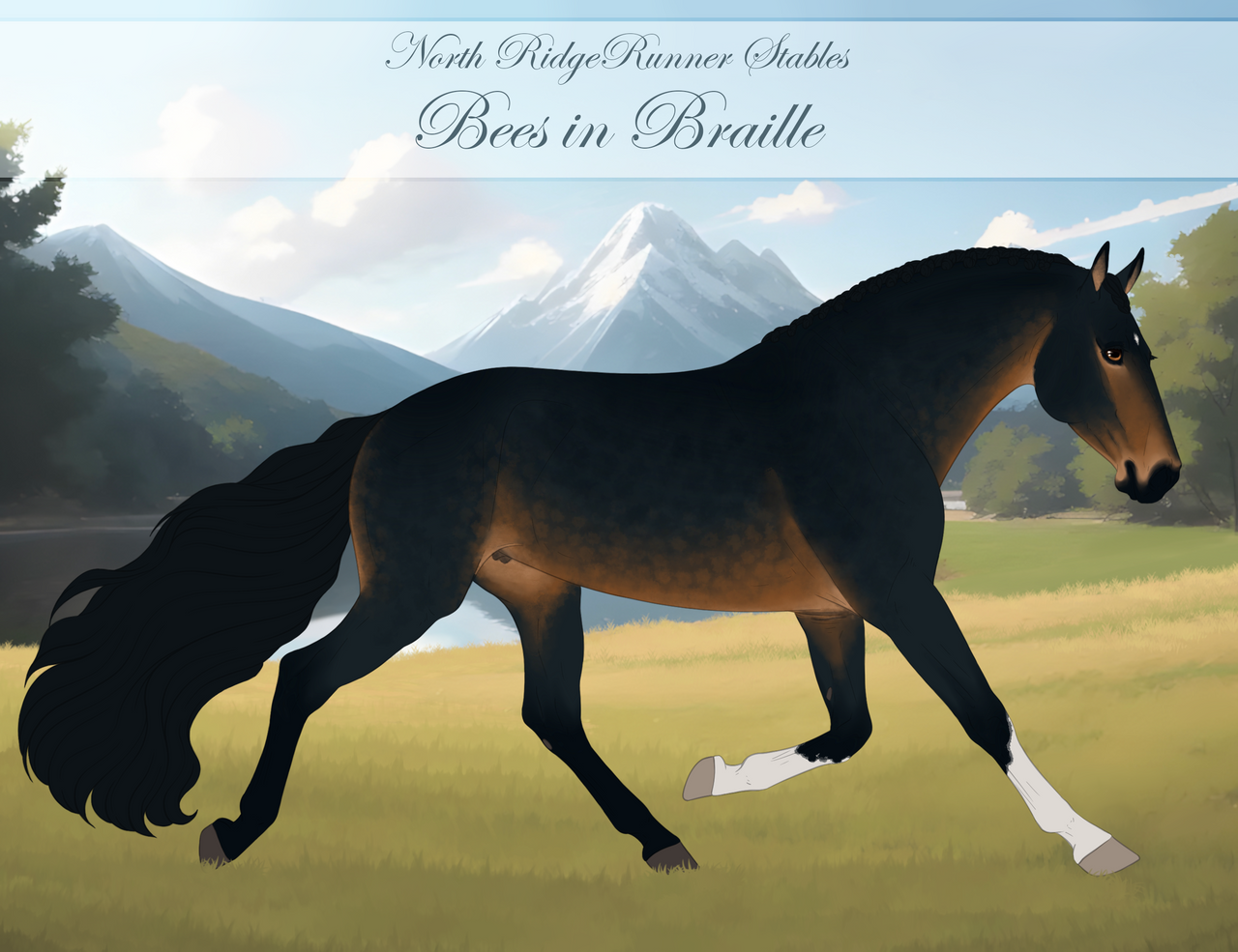 NRR Bees in Braille