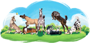 Pound Puppies Kennel Club