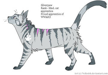 Silverpaw Picture