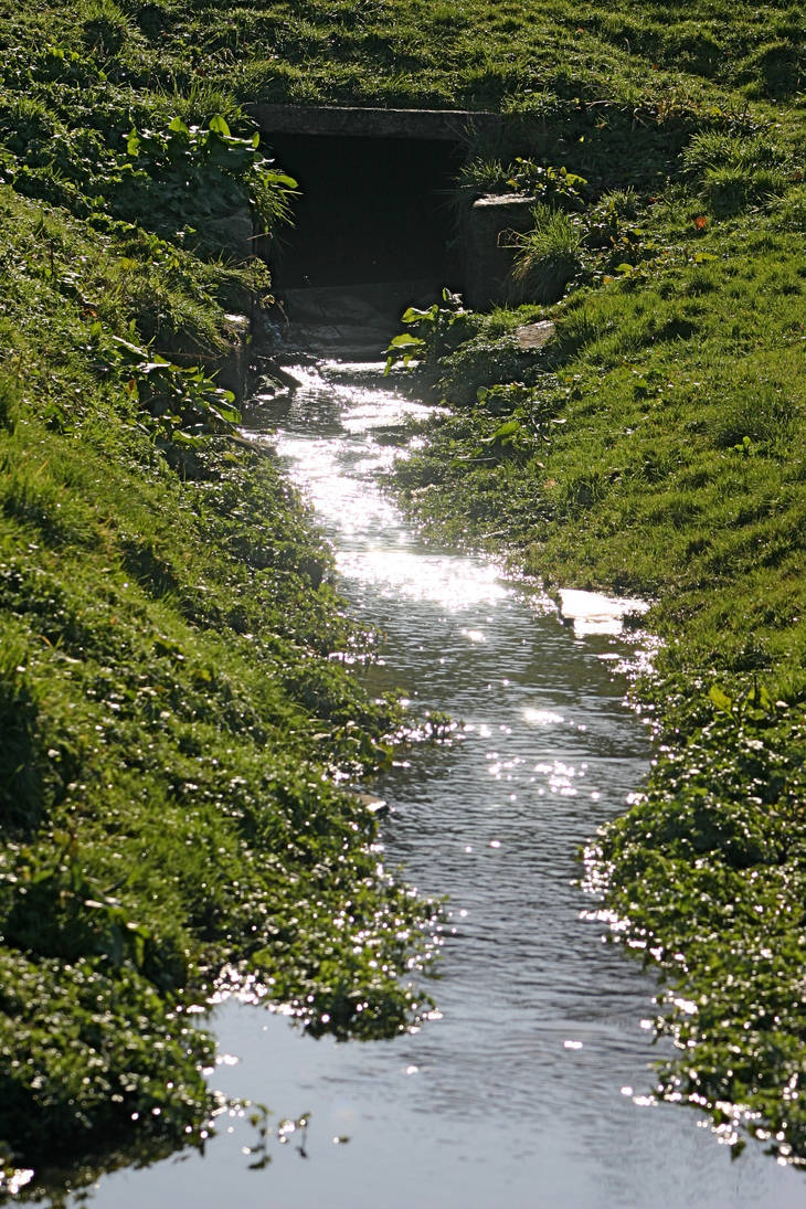 Rivulet by amerindub on DeviantArt