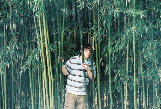 hiding_in_bamboo_by_dosu_dk4hbo-350t.jpg