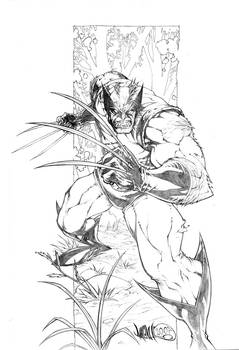 Wolverine Print Pencils