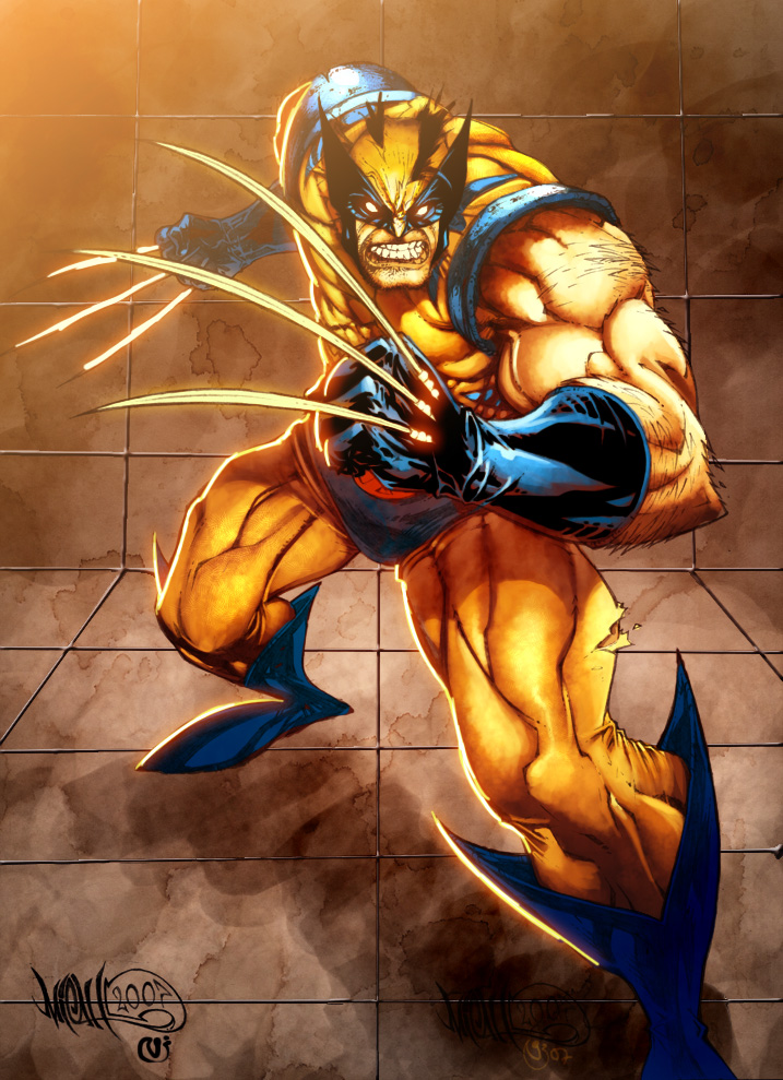 Wolverine colors by BoOoM