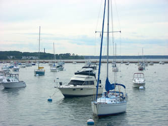 Boats in the Harbor