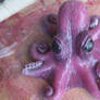 Silicone Octopus